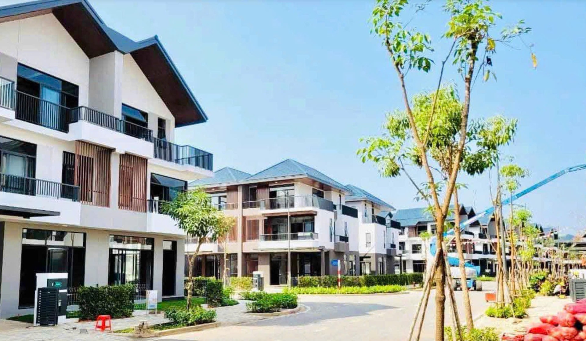 Sơn giả gỗ Lotus - Khu nhà phố compound